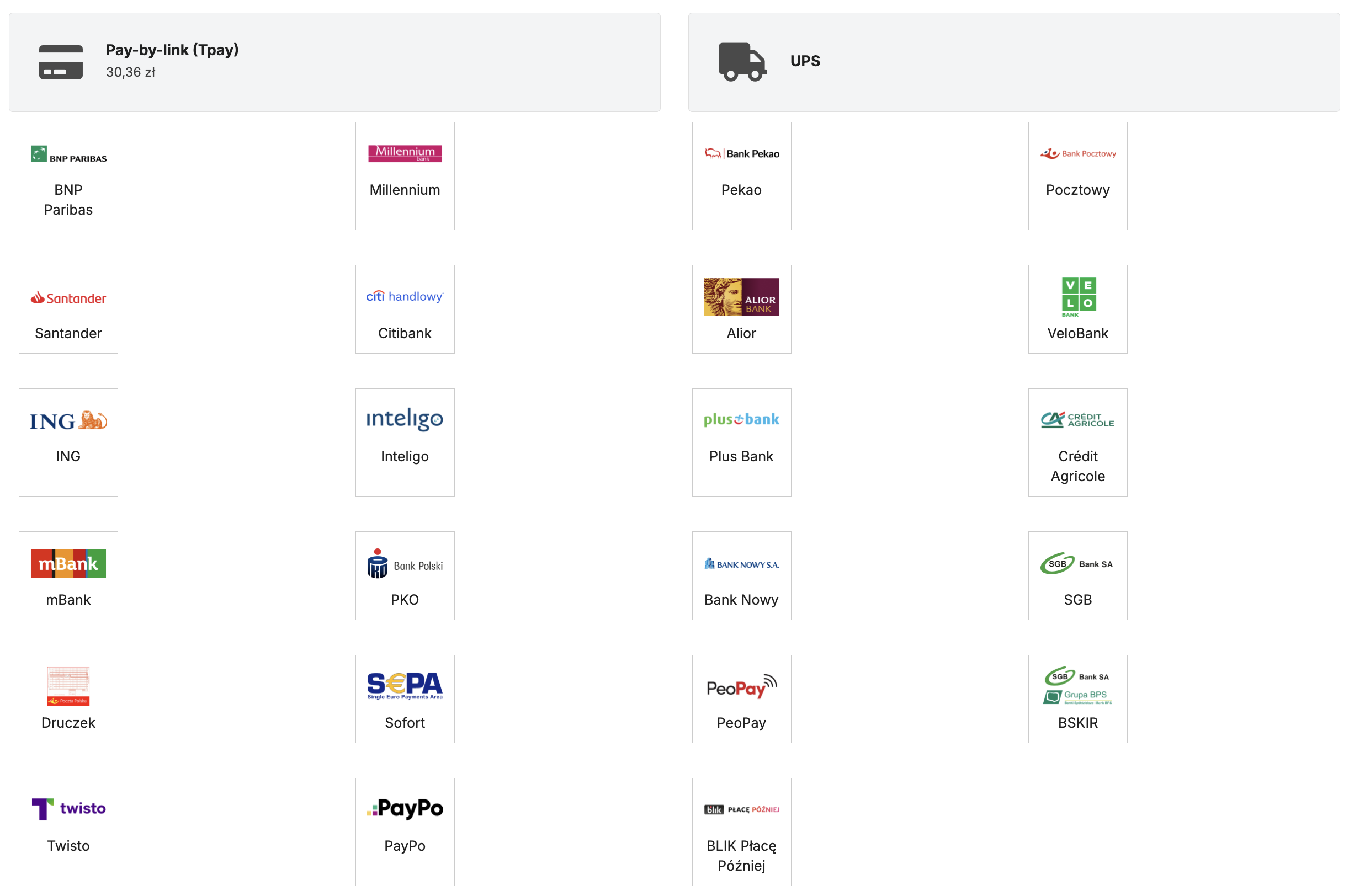 Tpay payment methods in the Sylius demo